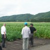 『雅』が日本一のそばの産地幌加内町を視察 (2011年7月19日)