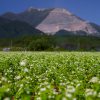 令和六年度　冬の親子蕎麦打ち教室