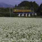 2025年度　いなべの里新そば祭り